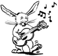 lapin
